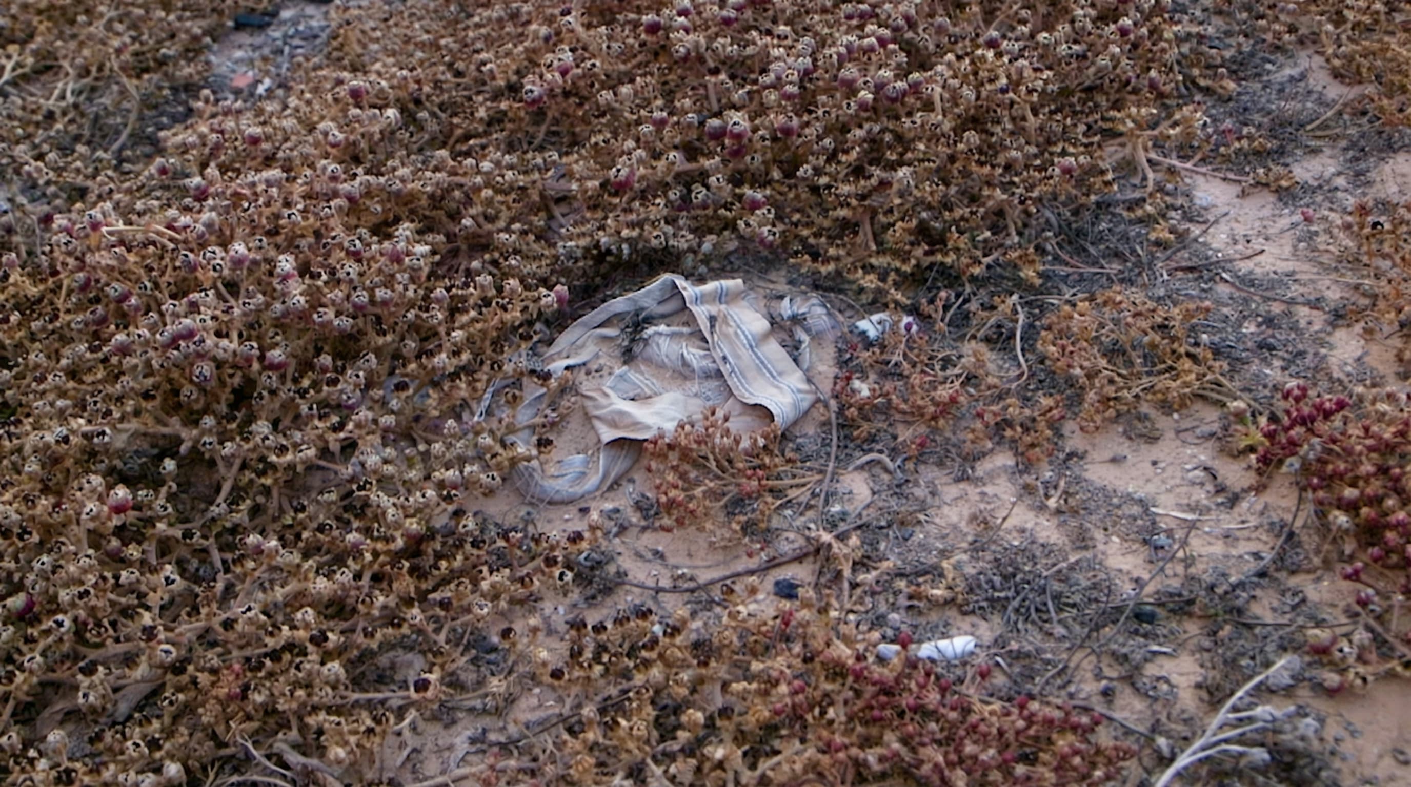 1800 Milhas de Zarzis